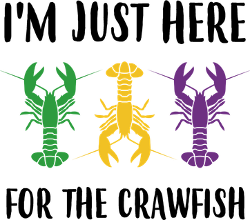 Mardi Gras Im Just Here For The Crawfish Women's Hoodie