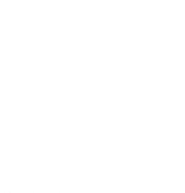 Llamaste Funny Tote Bag