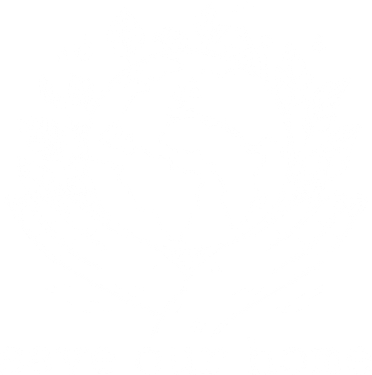 Save Our Home Earth Day Women's V-Neck T-Shirt