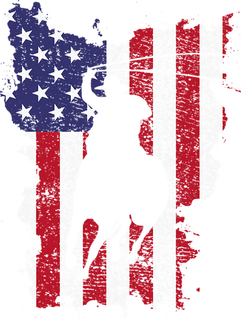 Usa Flag Cowboy Roping Button