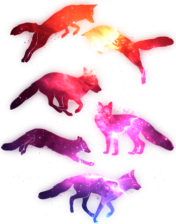 Space Galaxy Foxes Women's T-Shirt