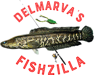 Fun Outdoors Snakehead Fishzilla Fishing Tank Top