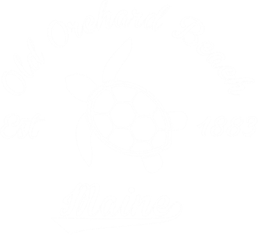 Nautical Old Orchard Beach Maine Sea Turtle Gift Toddler Long Sleeve