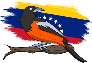 Venezuela Proud Venezuelan Flag Hispanic Colorful Bird Cool Gift Women's Hoodie