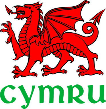 Cymru Welsh Pride Gift Red Dragon Of Wales Flag Funny Gift Kids Sweatshirt