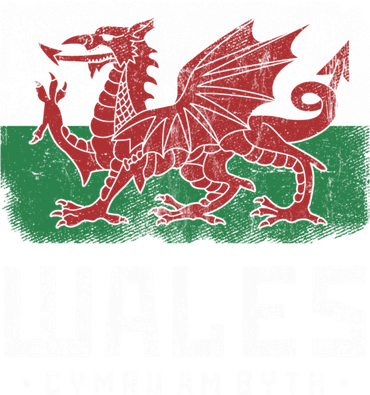 Wales Flag Welsh Dragon Banner Cymru Am Byth Welsh Gift Women's Long Sleeve Shirt