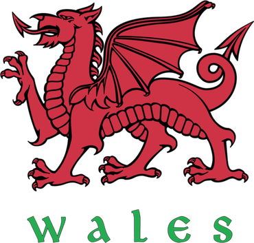 Wales Gift Welsh Red Dragon Cymru Kids Sweatshirt