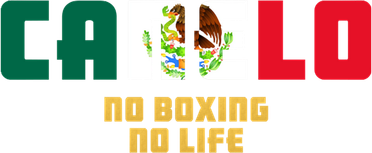 Team Canelo Boxing Alvarez Mexico Fight Women's Tank Top