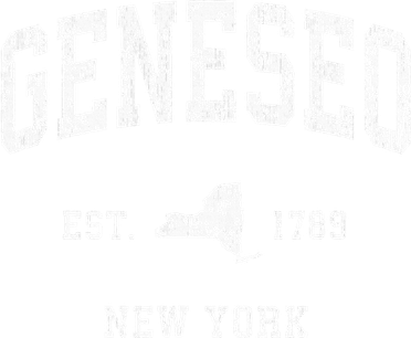 Geneseo New York Ny Vintage Athletic Women's Sweatshirt