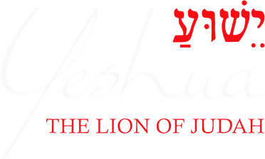 Yeshua Hebrew Lion Of Judah Christian Women's T-Shirt