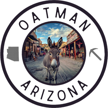 Oatman Arizona Burro In Town Kids Long Sleeve Shirt