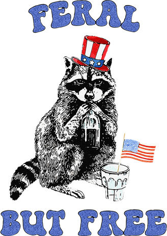 Feral But Free Funny 4th Of July Raccoon Independence Day Kids T-Shirt