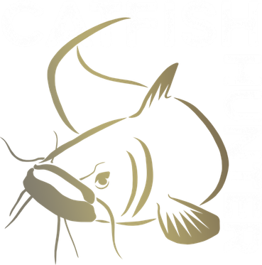 Catfishing Tackle Channel Catfish Hunter Boilies Fishing Cool Gift Women's Tank Top