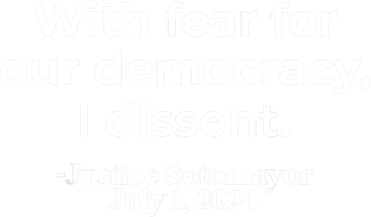 With Fear For Our Democracy I Dissent Kids Hoodie