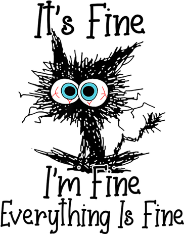 Funny Black Cat ItS Fine IM Fine Everything Is Fine Kids T-Shirt