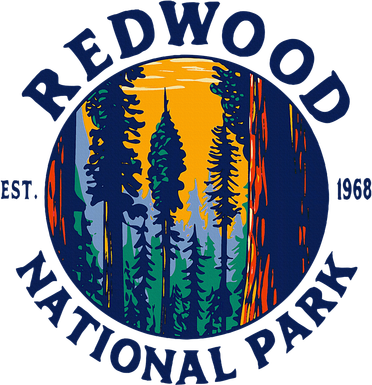 Redwood National And State Parks Ca California Outdoor Women's Sweatshirt