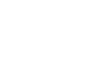 Pensacola Florida Fl Vintage Established Athletic Sports Design T-Shirt