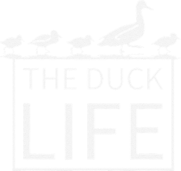 The Duck Life! Toddler Hoodie
