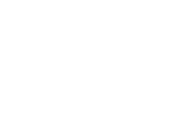 Pine Island Florida Fl Vintage Athletic Sports Design Hoodie