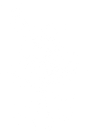 Fading Ballerina Button