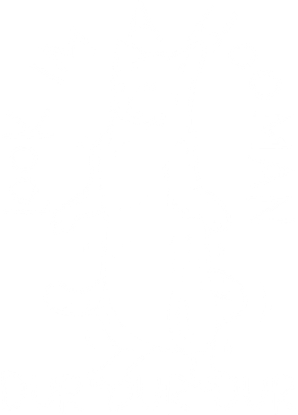 Look Im A Hooman Dur Dur Dur Women's Hoodie