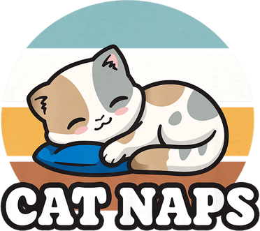 Cat Lovers Gift Nap Lover Sleepy Cute Kawaii Cat Naps Women's Hoodie