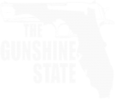 Florida The Gunshine State 11oz C Handle Ceramic Mug