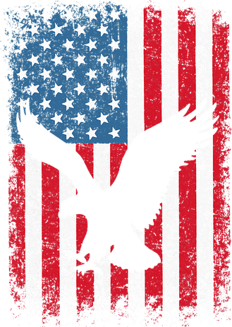 Patriotic Eagle Usa American Flag Women's Sweatshirt