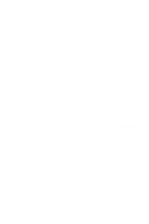 With A Beautiful Japanese Girl Symbol Of Japan Long Sleeve Shirt