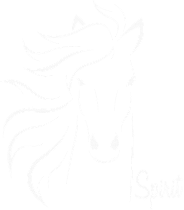 Horse Spirit Animal For Riding Lovers Feel Free Gift Idea 11oz C Handle Ceramic Mug