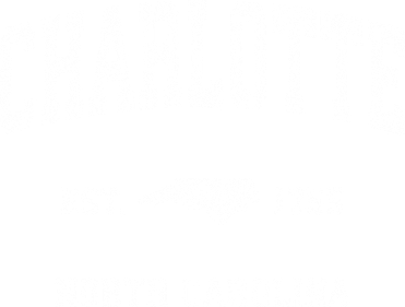 Charlotte North Carolina Nc Vintage Sports Kids T-Shirt