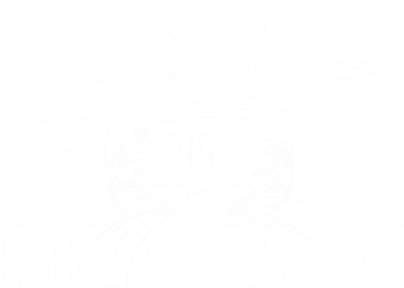 Meowdy Funny Mashup Between Meow And Howdy Cat Meme Cool Gift Button