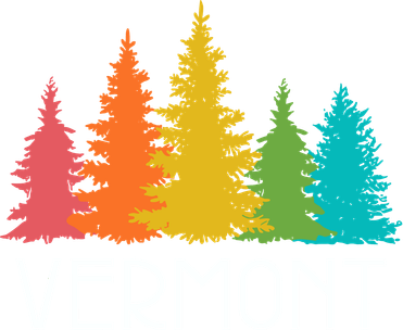 Vermont T Funny Kids T-Shirt