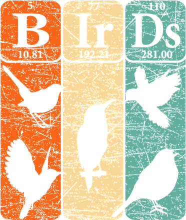 Birds Periodic Table Elements Birdwatching Ornithology Kids Sweatshirt