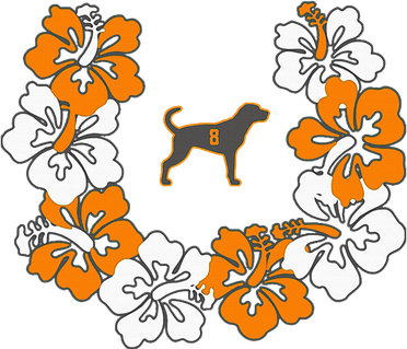 Tennessee Dog Sport Lovers Coonhound Fan Hawaii Lei Women's Hoodie