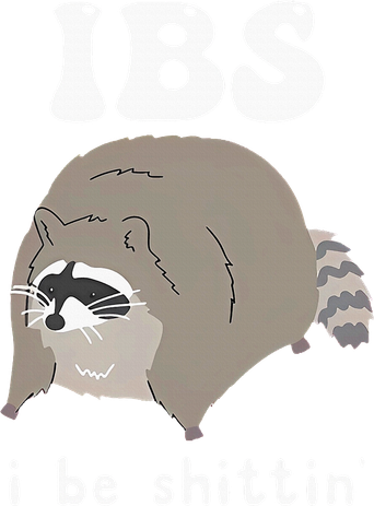 Ibs I Be Shittin Raccoon Funny Toddler Hoodie