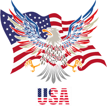 American Bald Eagle Usa Flag Kids Hoodie