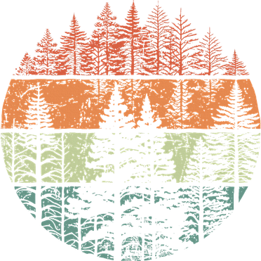 Forest Trees Outdoors Nature Coaster