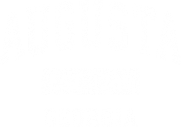 Augusta Georgia Ga Vintage Sports Santa Hat