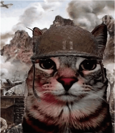 Thousand Yard Stare Funny Soldier Cat Meme In Battlefield Women's Hoodie
