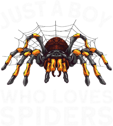 Cute Spider Spider Web Tarantula Arachnid Kids Sweatshirt
