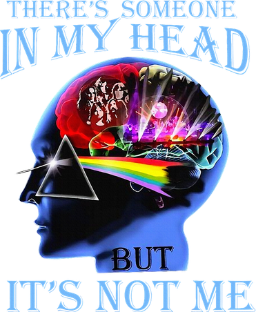 There’S Someone In My Head But It’S Not Me Kids Long Sleeve Shirt