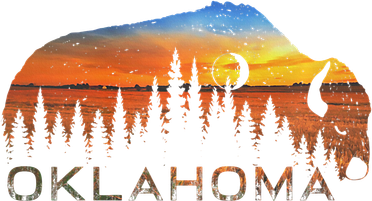 Oklahoma Sunset Buffalo Button