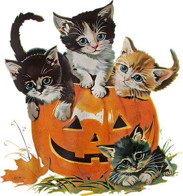 Vintage 90s Cat Pumpkin Halloween Retro Floral Spooky Season Gift Santa Hat