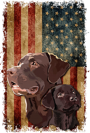 Retro Chocolate Lab With Usa Flag Gift Chocolate Lab Dad Mom Women's Tank Top