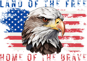 Land Of The Free Home Of The Brave Bald Eagle Us Flag Women's Sweatshirt