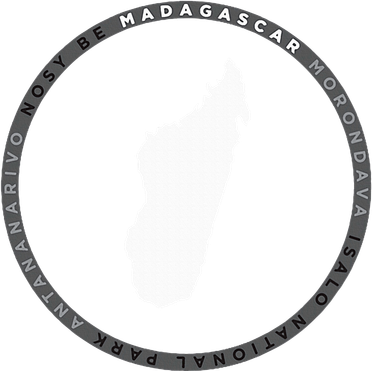 Madagascar Antananarivo Nosy Be Isalo Graphic Women's Tank Top