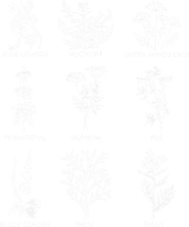Women Right Equality Health Herbs Herbalist Plant Lover Women's T-Shirt