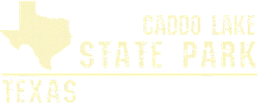 Tx Souvenir Texas Caddo Lake State Park Beanie
