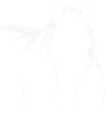 Elegant Horse Silhouette Graphic Art Design For Horse Lovers 11oz C Handle Ceramic Mug